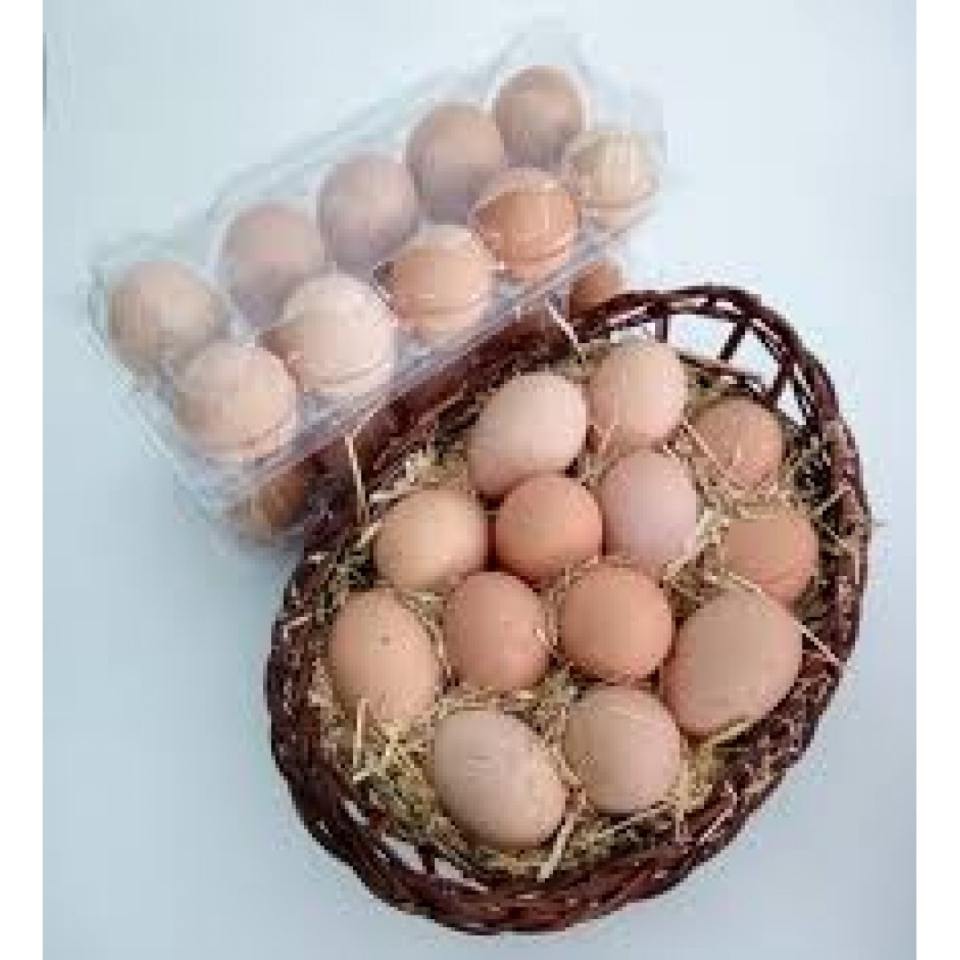 Organik Köy Yumurtası (15 Adet)